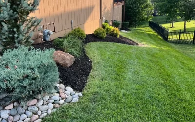Weed Control and Fertilization: Essential to a Healthy Lawn