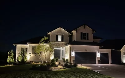 Landscape Lighting: Your Guide to the Basics