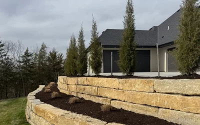 Boost Your Home’s Value with Professional Landscaping